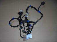 фото thumb №1, Джгут двері права перед maserati quattroporte 06