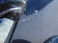 фото thumb №15, Кришка кришка зад задня багажника audi a5 8t рестайлінг 5d sportback lz7l