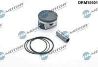 фото thumb №1, Dr.motor drm15601 поршень