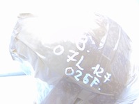 фото thumb №10, Насос топлива audi r8 4s huracan 5.2 fsi v10 07l127025f