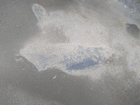 фото thumb №11, Vw scirocco r-line 1k8 бампер передний перед