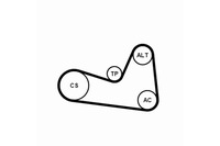 фото thumb №2, Набор ремни многоручейковых с ролики dacia dokker dokker express