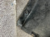 фото thumb №10, Защита нижние подвеска двигателя коробки bmw e84 x1 комплект оригинальные