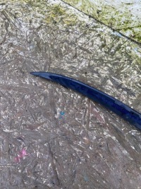 Renault arkana спойлер спойлер кришки задній 01725023 Недорого, фото thumb