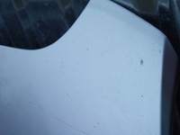 фото thumb №5, Капот ly7w audi a6 c6 4f5 kombi europa