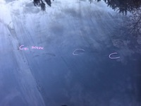 фото thumb №7, Mazda cx60 капот