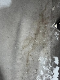 Opel insignia a lift 13-17 r. бампер передний перед Цена, фото thumb