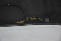 фото thumb №10, Капот крышка двигателя audi a6 c5 ly7q