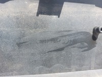 фото thumb №14, Бампер передній перед skoda superb iii lift eu