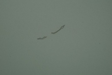 фото thumb №8, Двері лівий зад peugeot 3008 i