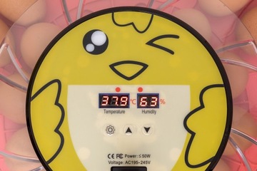 Инкубатор выводной EGG HATTER FOR POULTRY 30 яиц курино-гусиных яиц утиных яиц