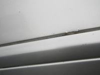 фото thumb №11, 1 mercedes w203 купе дверь левая передние водителя левый перед серебристый