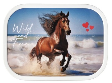 MEPAL LUNCHBOX ŚNIADANIÓWKA POJEMNIK OWOCE BIDON HORSE KOŃ ZESTAW DZIECKA