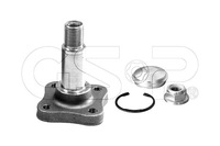 фото thumb №2, Gsp шкворень ступица задняя l p