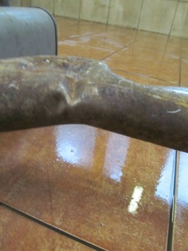 фото thumb №11, Fiat 500x 14-24 глушник кінцевий вихлоп труба випускна c501