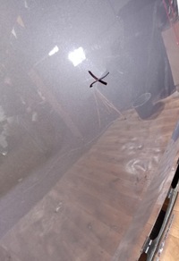 фото thumb №2, Распродажа дверь doblo 2 ii combo d дверь задняя задние левая