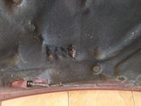 фото thumb №10, Капот ford focus mk1 2.0b 98'