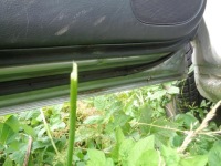 фото thumb №8, Двери левые перед комплектные toyota avensis ii t25 универсал цвет 1c0
