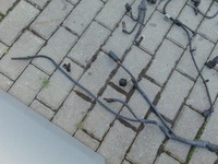 фото thumb №9, Жгут электропроводка двигателя bmw 116i e87 lift 1.6 16v n43b16aa бензин europa