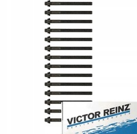 фото thumb №1, Болты головки 14szt reinz do peugeot 605 2.5