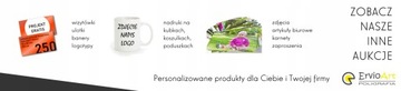 Wizytówki jednostronne 100 szt. 90x50mm 350g PROJEKT W CENIE