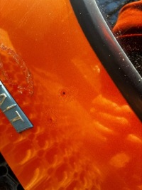 фото thumb №8, Крышка багажника fiat seicento