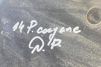 фото thumb №8, Захист термічна porsche cayenne 92a 7p5819512b 3.6l бензин 220kw 2014