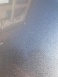 фото thumb №9, Капот крышка двигателя nissan qashqai ii j11 ky0