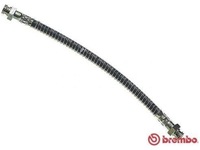 фото thumb №2, Шланг тормозной гибкий brembo t61038 168085