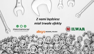 КОМПЛЕКТ ДЛЯ ОЧИСТКИ И СМАЗКИ ЦЕПИ - MECCANOCAR