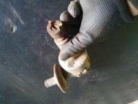 Skoda 105 fiat зажигание аппарат зажигание zelmot с Разборки, фото thumb