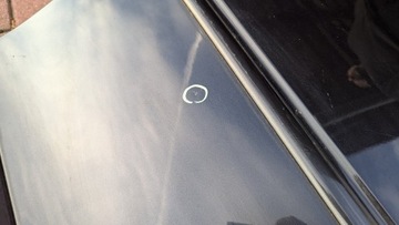 фото thumb №7, Дверь задние зад левая audi a3 8l рестайлинг lz9u