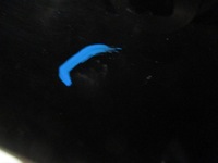 фото thumb №4, Ds3 crossback двері праве задні задня ktvd