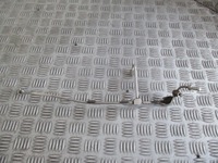 фото thumb №1, Шланг пального seat toledo iii 2.0 fsi 04-09r