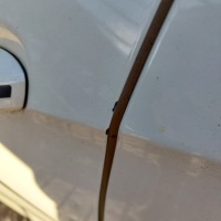 фото thumb №3, Mercedes e-klasa w212 двері ліва передні код лакофарбового покриття c623