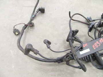 фото thumb №5, Жгут двигателя установка bmw e83 x3 3.0 m57n 204km европа 2005r. euro3