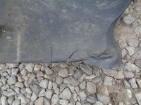 фото thumb №11, Підкрилок праве перед передні skoda yeti 5l lift 2013- 5l0809962b