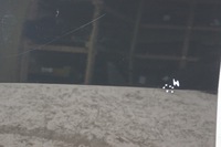 фото thumb №9, Двері лівий перед kia sportage iii 1k