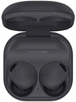 Наушники Samsung Galaxy Buds 2 Pro Графитовые
