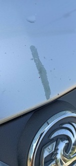 фото thumb №10, Капот opel meriva a z157