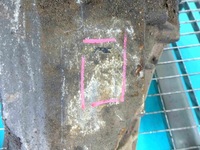 фото thumb №8, Міст перед передній mercedes ml w163 3.2 v6