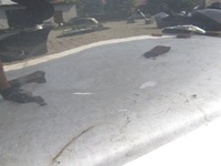 фото thumb №4, Дверь bmw 7 g11 g12 15- левый перед