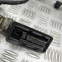 фото thumb №10, Жгут передних правых дверь bmw 8 купе g15, f92 8796339 36801525 3.0l