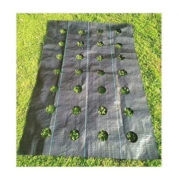 AGROTKANINA Z OTWORAMI POD SAŁATĘ OGÓRKI CEBULE CZOSNEK ITP 1,10 X 10m Z UV