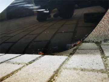 фото thumb №7, Opel zafira c дверь левая зад комплектные демонтаж