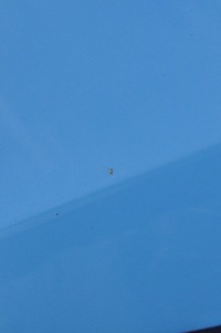 фото thumb №12, Volvo v40 ii дверь левый задняя задние