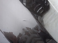 фото thumb №9, Toyota camry viii 17- капот крышка двигателя