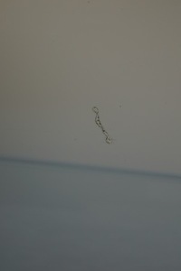 фото thumb №10, Двері правий перед audi a4 b8 ly9c