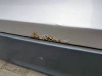 фото thumb №6, Audi q7 4l 05-10 дверь левая перед cross allroad