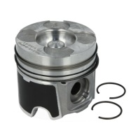 фото thumb №1, Поршень nural